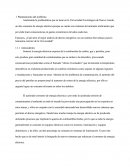 Herraminetas y Metodologias.