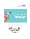 Ingenieria en Marketing Estrategia digital y community manager