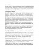 Resumen gobierno corporativo semana n°3