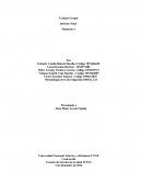 Informe Final Momento 4