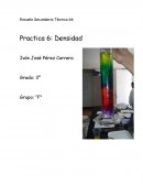 Practica 6: Densidad