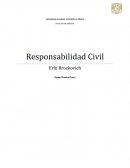 Responsabilidad Civil Erín Brockovich