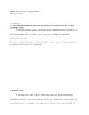 Perfiles del psicólogo: Psicología Clínica