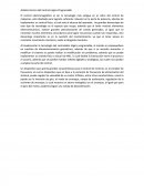 Análisis técnico del Control Lógico Programable