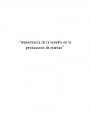 Importancia de la semilla en la producción de plantas