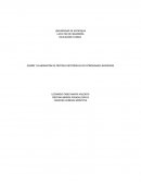 DISEÑO Y ELABORACIÓN DE PRÓTESIS ORTOPÉDICAS DE EXTREMIDADES INFERIORES