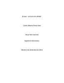 Ensayo ´´persona de calidad´´