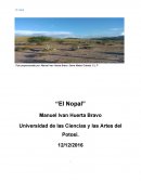 El nopal. ¿Qué es el nopal?