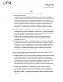 Narre las características del sistema Wizzard en su impacto