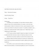 MAESTRIA EN PSICOLOGÍA ORGANIZACIONAL