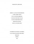 ESTUDIO DE LANZAMIENTO DE “CERVEZA EL JEQUE” AL MERCADO