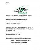 RECURSO DE AMPARO EN EL DELITO DE SECUESTRO EN EL ESTADO DE MEXICO EN EL 2015, ESTUDIO DEL CASO