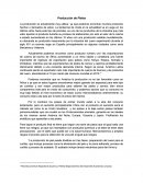 PRODUCCION DE PIELES