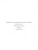 DIAGNOSTICO DE LACTUAL MODELO ORGANIZACIONAL DE LA EMPRESA
