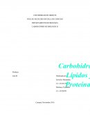 DEPARTAMENTO DE BIOLOGÍA LABORATORIO DE BIOLOGÍA II