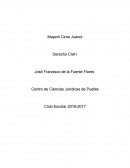 Derecho Civil I Divorcio Incausado