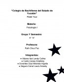 Análisis de las emociones y su relación con el sistema nervioso: Estudio de las microexpresiones