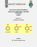 QUÍMICA Práctica N° 17 ALCOHOLES Y FENOLES