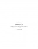 FORMULACION Y EVALUACION DE PROYECTOS .