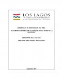 EL COMERCIO INFORMAL EN LA CIUDAD DE ANGOL, REGION DE LA ARAUCANIA”