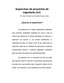 Supervisor de proyectos de ingeniería civil.