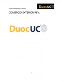 El Técnico en Comercio Exterior