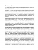 Estruturas y organelos celulares.