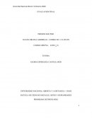 Formato entrevista . acción trabajo.