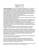 ETAPAS DEL CICLO VITAL NIÑEZ