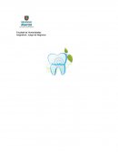 Facultad de Humanidades Asignatura: Juego de Negocios