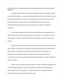 INCONVENIENTES Y PROBLEMAS DEL FUNCIONAMIENTO DEL SISTEMA LIBRE EMPRESA.