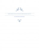 AMPLIFICADOR DE 25 WATTS CON FUENTE DE ALIMENTACIÓN REGULABLE DE 3A ELECTRICIDAD INDUSTRIAL