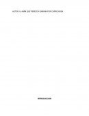 Acerca de la “explotación” de la madera