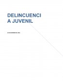 FACTORES DE RIESGO EN LA DELINCUENCIA JUVENIL
