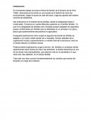 FAMILIA DE LA TERCERA OLA