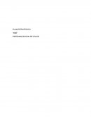 Plan estaretgico de una empresa de ropa.