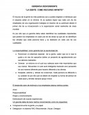 GERENCIA DESCENTENTE.