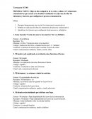 ECO01 EDUCACION INFANTIL.