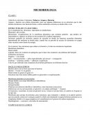 Árbol de la vida tiene 3 dominios; Eukarya, Arquea y Bacteria.