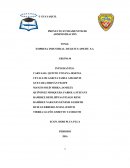 EMPRESA INDUSTRIAL: DELICIUS APICHU S.A