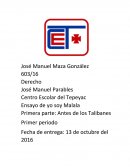 Ensayo de yo soy Malala.