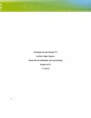 Desarrollo de habilidades para aprendizaje.