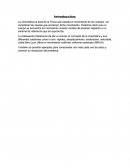 La cinemática es área de la Física que estudia el movimiento de los cuerpos, sin considerar las causas que producen dicho movimiento. Podemos decir que un cuerpo se encuentra en movimiento cuando cambia de posición respecto a un sistema de referencia