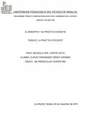 Ensayo la practica docente.