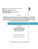 PRINCIPALES CAUSAS QUE SE RELACIONAN CON LA PRESENCIA DE LA PEDICULOSIS CAPITIS EN NIÑOS