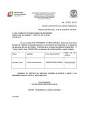 Formato de incapacidades.