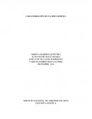 CARACTERIZACIÓN DE UNA RED LOGÍSTICA .