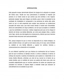 Factores de riesgo en la adopción.