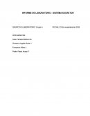 Sistema excretor: dieta diuretica (alterada)