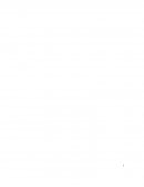 LOS EQUIPOS DE TRABAJO.